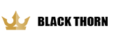 Blackthorn Technology Inc.